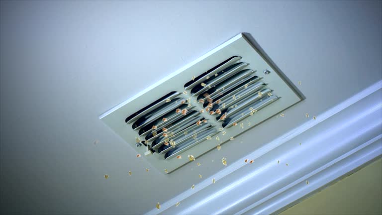 Best General Air Duct Cleaning  in Wilmington Island, GA