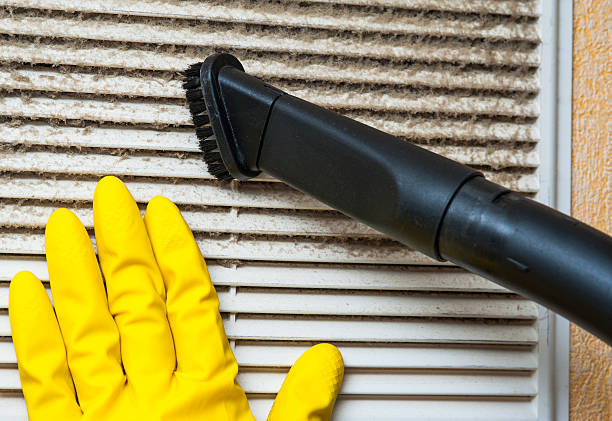 Air Duct Mold Removal in Wilmington Island, GA